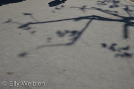 Elly Weiblen Schatten Paris 2012-2015-5.jpg